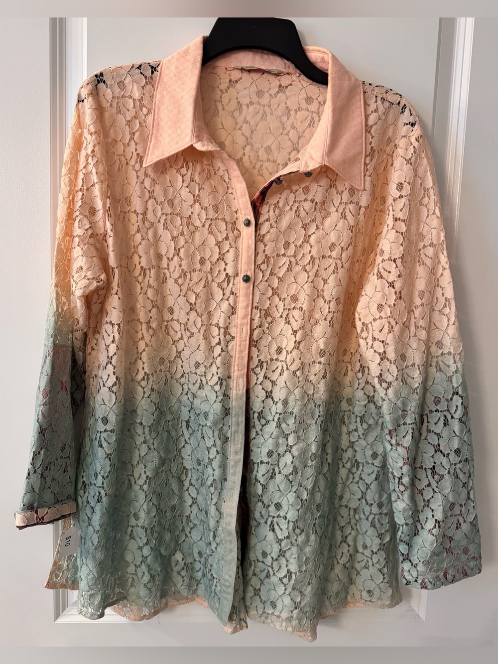 #z194 - Soft Surroundings Aurelie Ombre Lace Blouse Dip Dye Silk Lined Cuffs